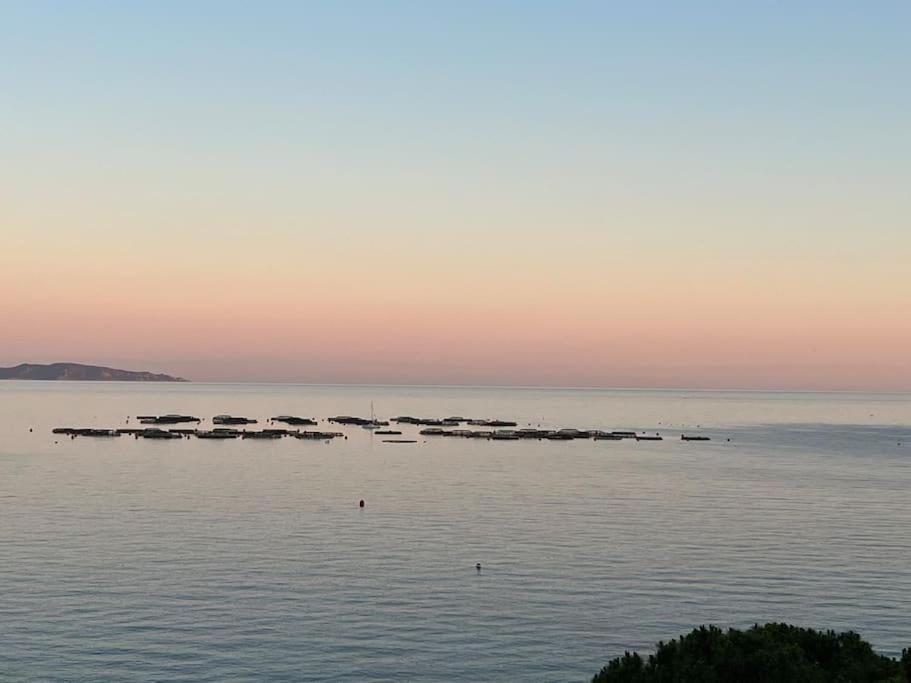 Bel App T2 En Bord De Mer Vue Sanquinaires Piscine Ajaccio  Exterior photo